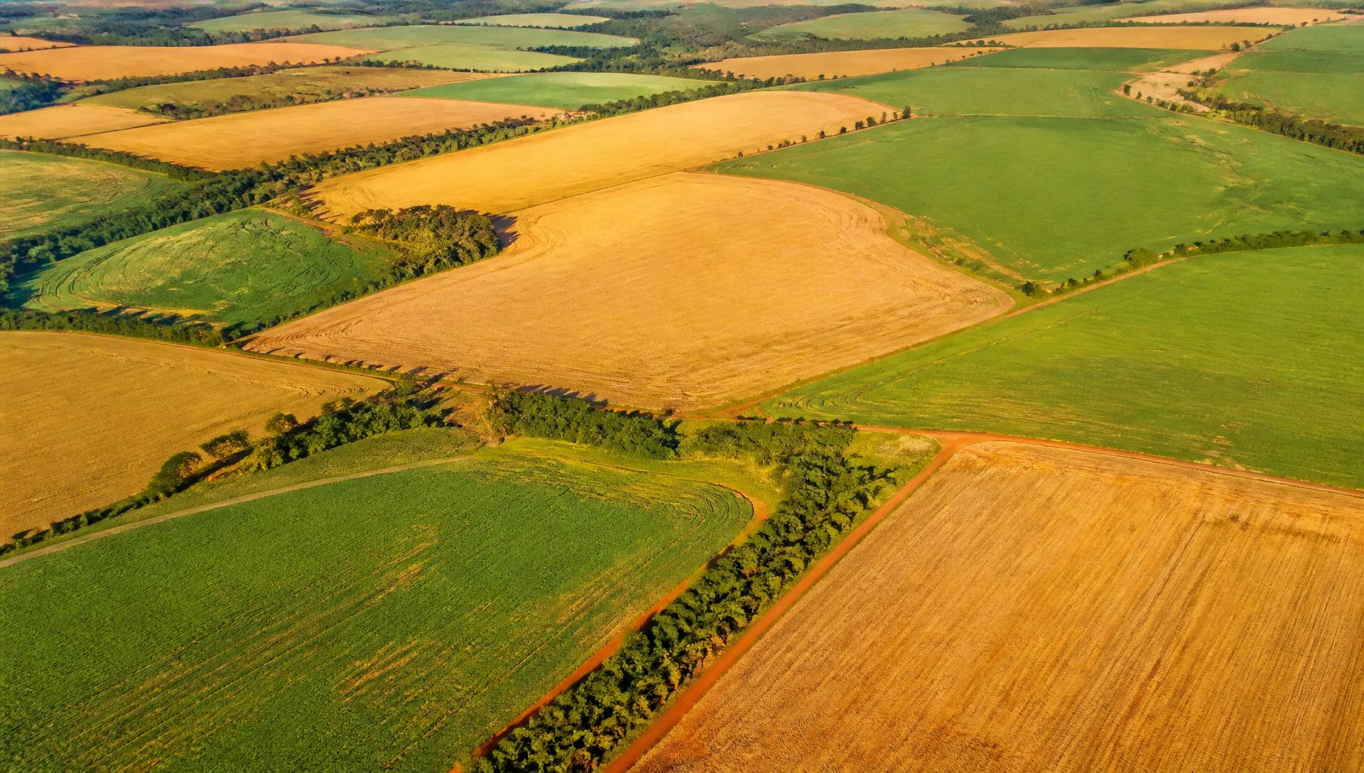 Vista aérea de áreas agrícolas