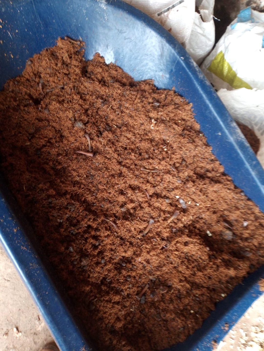 DESIDRATADOR DE CARCAÇAS 900 — detalhe 1