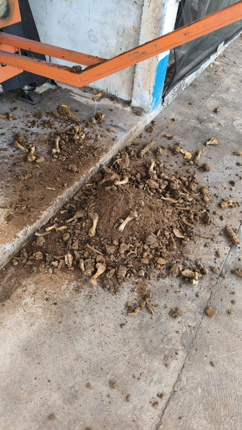 DESIDRATADOR DE CARCAÇAS 900 — detalhe 2